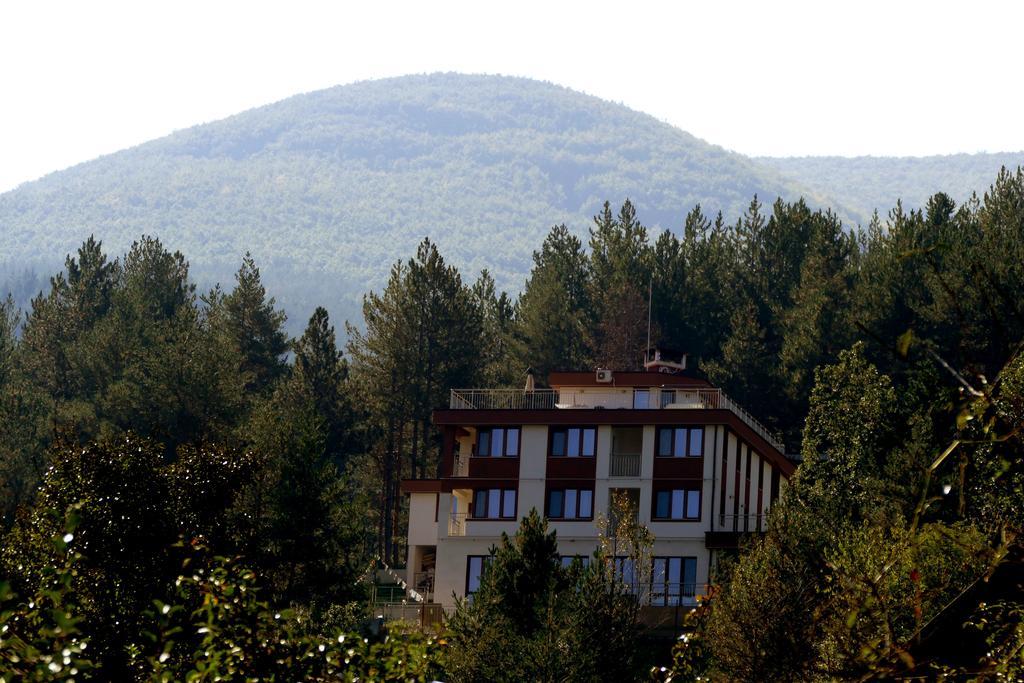 Iskrets Mala Planina Guest House מראה חיצוני תמונה